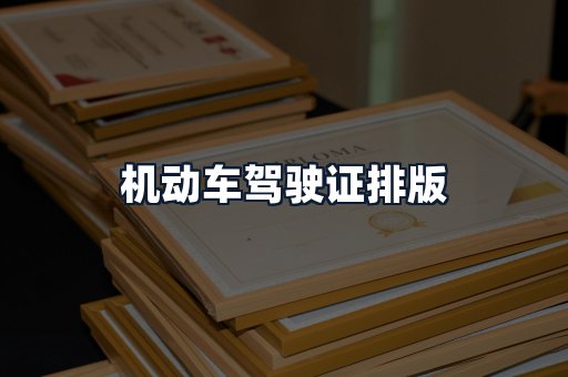 机动车驾驶证排版